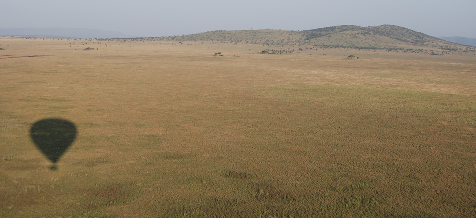 balloon safari inside