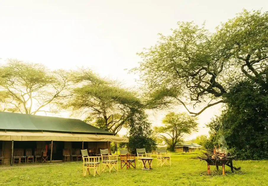 single-tents-new-banner