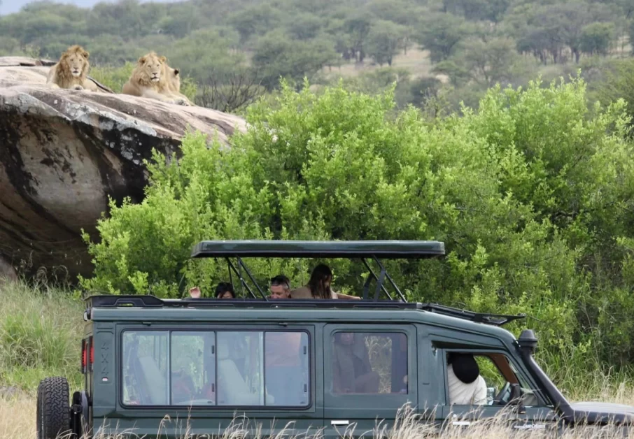 king-size-new-banner-shuhudia